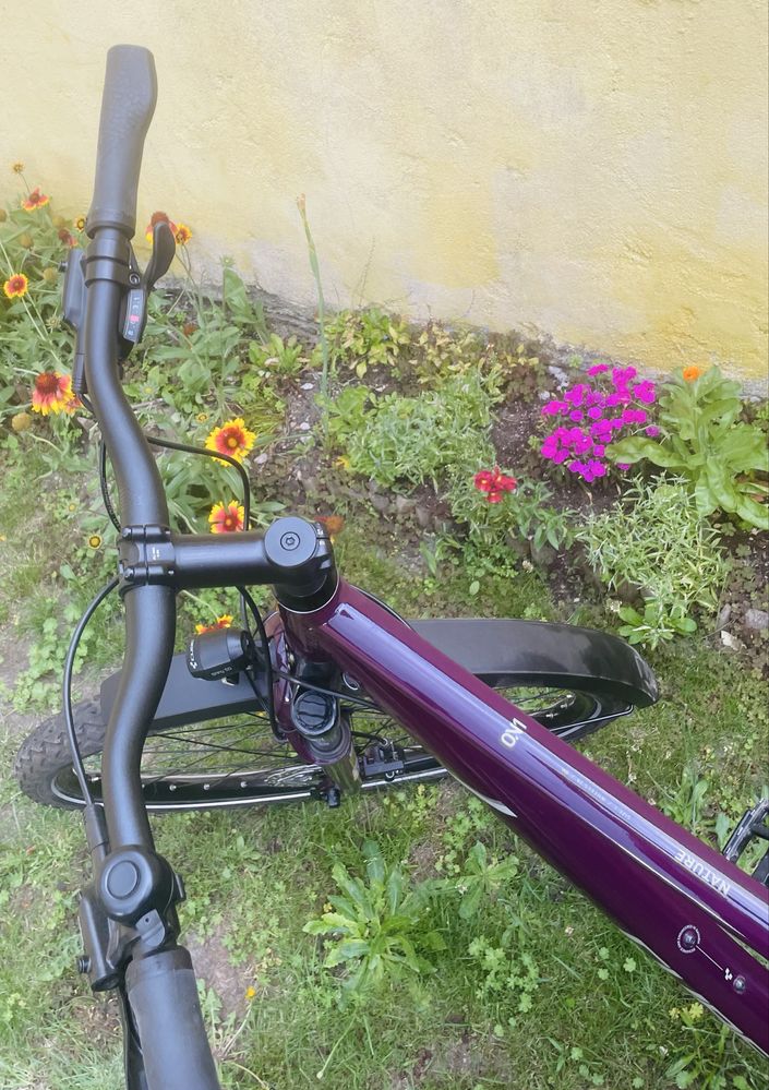 Rower CUBE nature one allroad