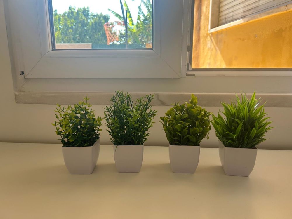 4 plantas artificiais (novas)
