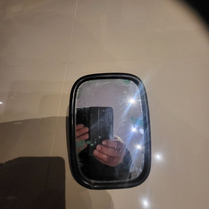 Lusterko ŻUK ,NYSA TARPAN orginał