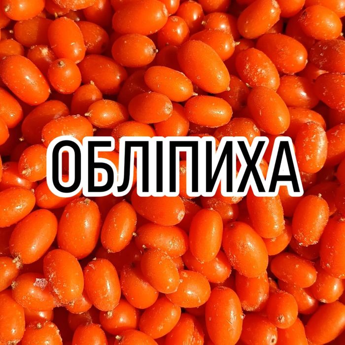 Обліпиха садова, велика гарна, ароматна ягода. Шокова заморозка