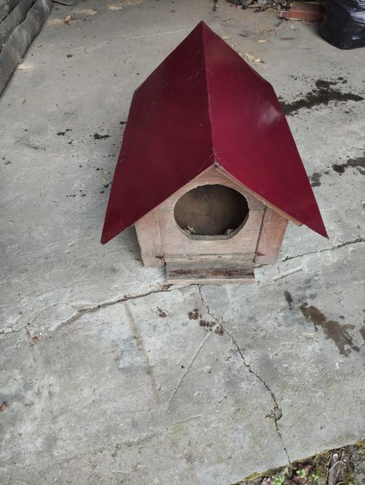 Buda dla psa do sprzedania