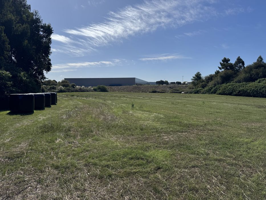 Alugo Terreno 8000m² em Lavra (Matosinhos) – Agricultura ou Animais