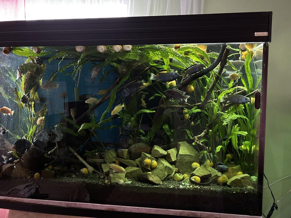 Акваріум ..б/ у в хорошому стані