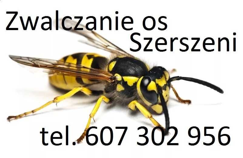 gniazda os szerszeni osy szerszenie odkomarzanie komary komarów muchy