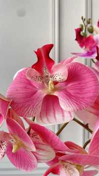 Орхідея штучна, искусственные цветы