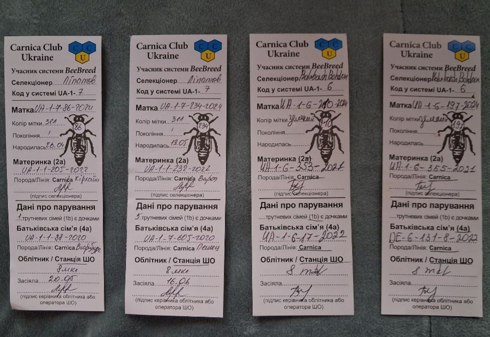 Бджолопакети, бджолосімї на рамку Рут (230). Бджоломатки.