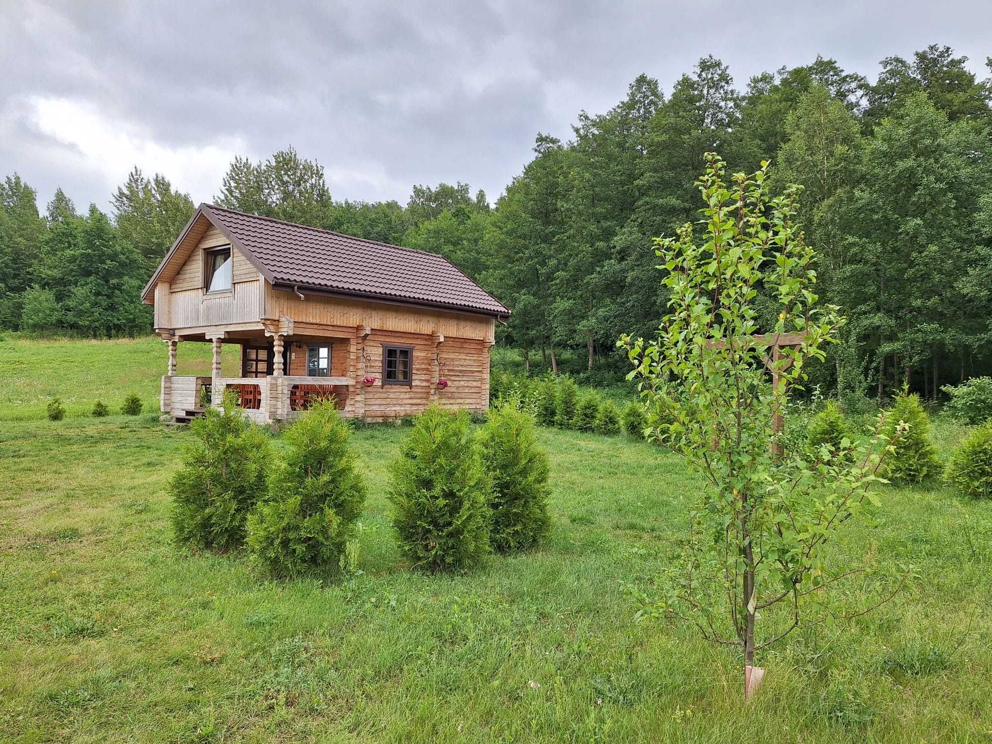 Domek nad jeziorem własna linia brzegowa, pomost, łódka , rower wodny
