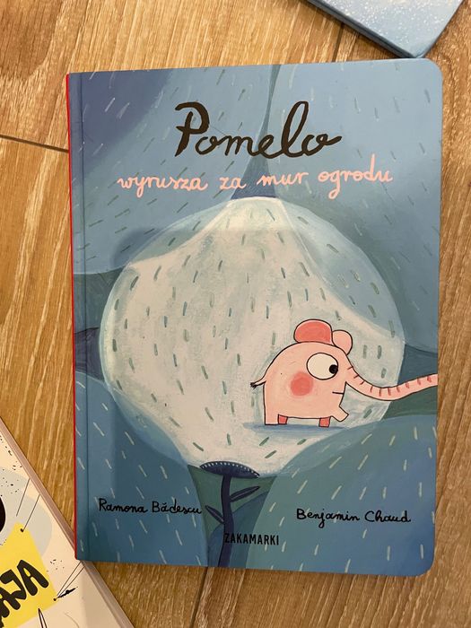 Zestaw książek dla maluchów