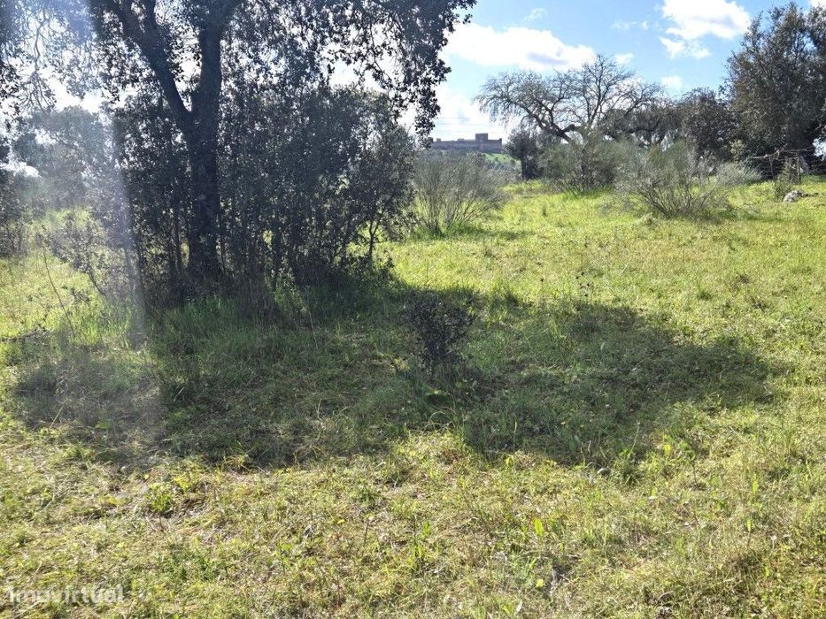 Terreno Rústico Junto à Barragem de Lucefecit, em Terena