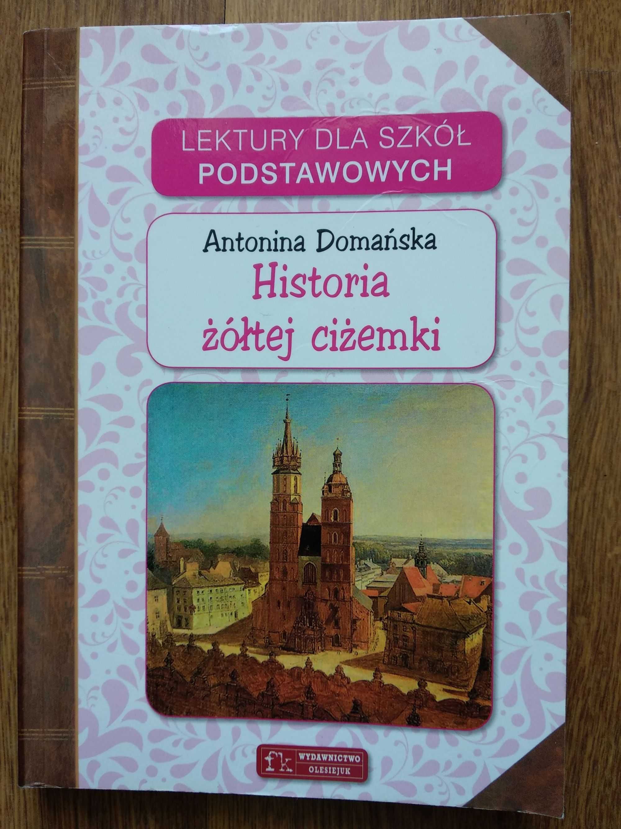 Historia żółtej ciżemki- Antonina Domańska