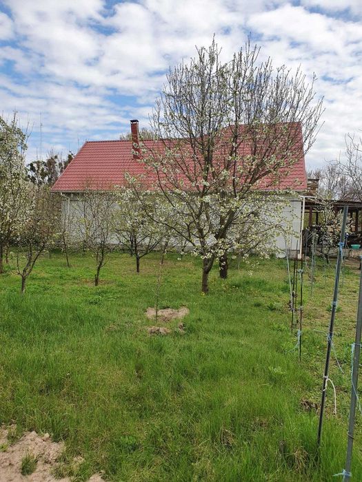 Продається будинок с. Софіївка Черкаського р-ну