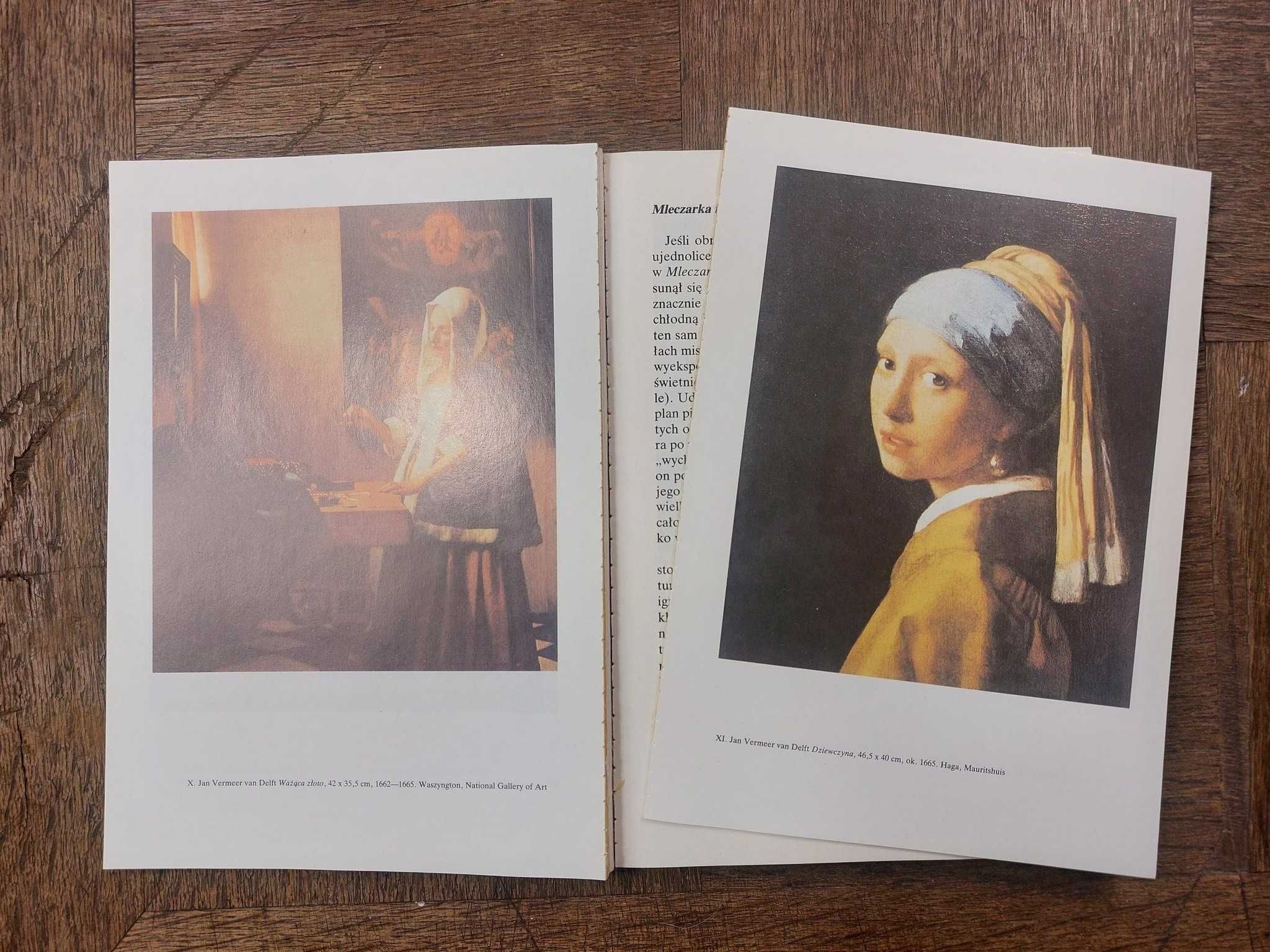 Albert Blankert Vermeer van Delft