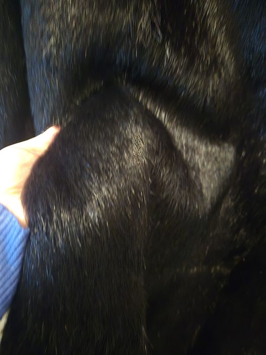 Продам шубу нутрия как норка, сост идеальное