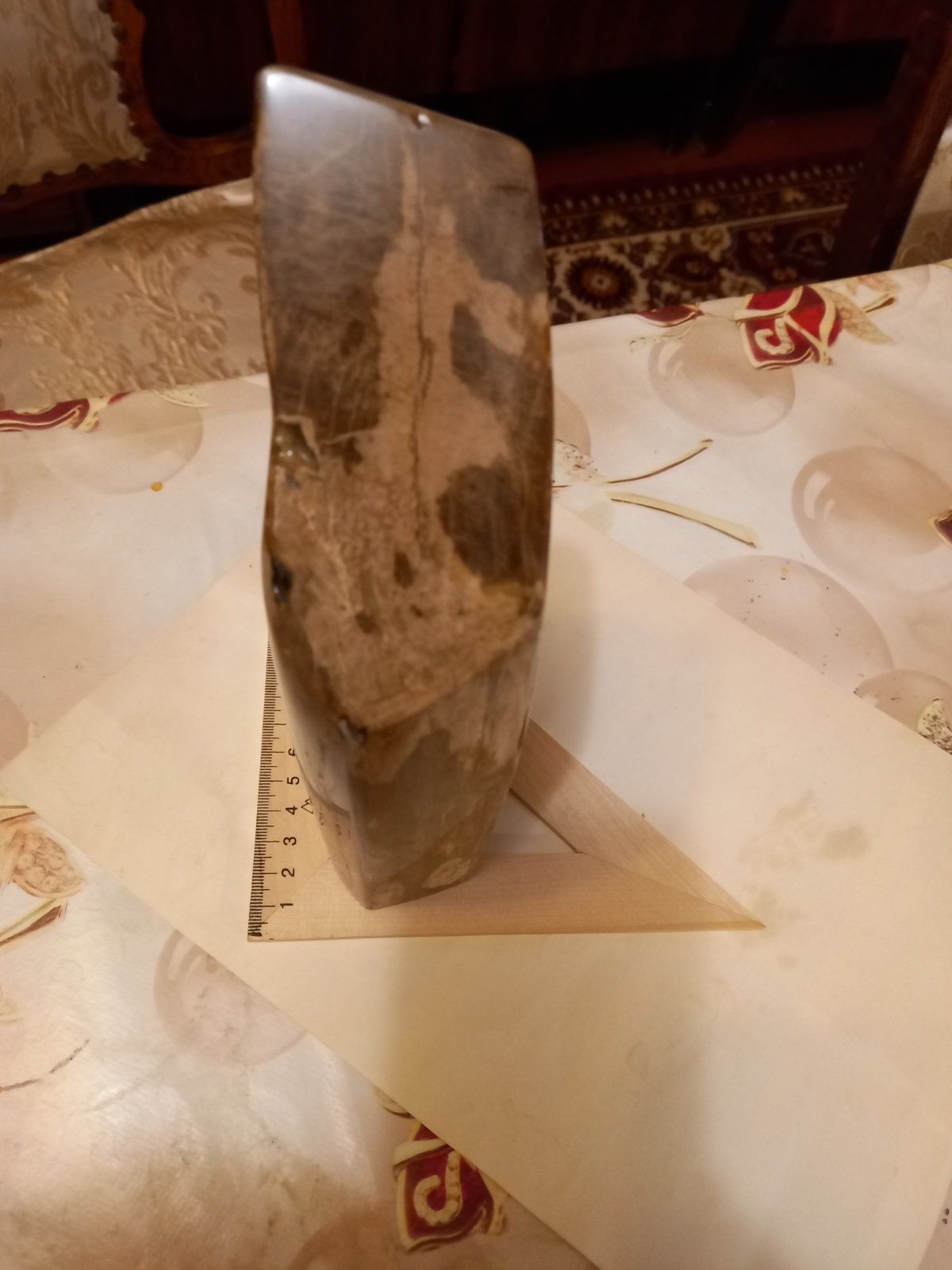 Продам окаменелое дерево из коллекции