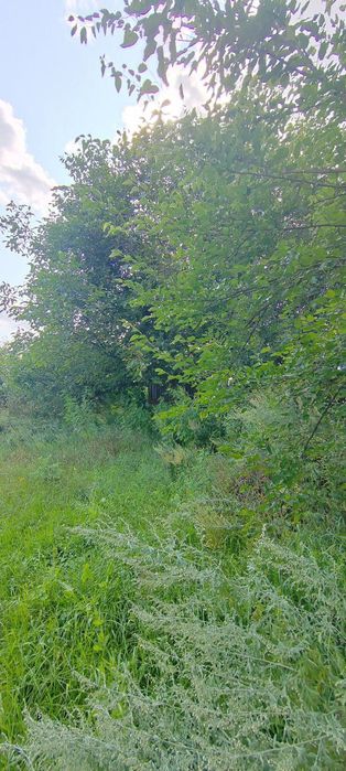 Земельна ділянка с. Червоне Бучанського району