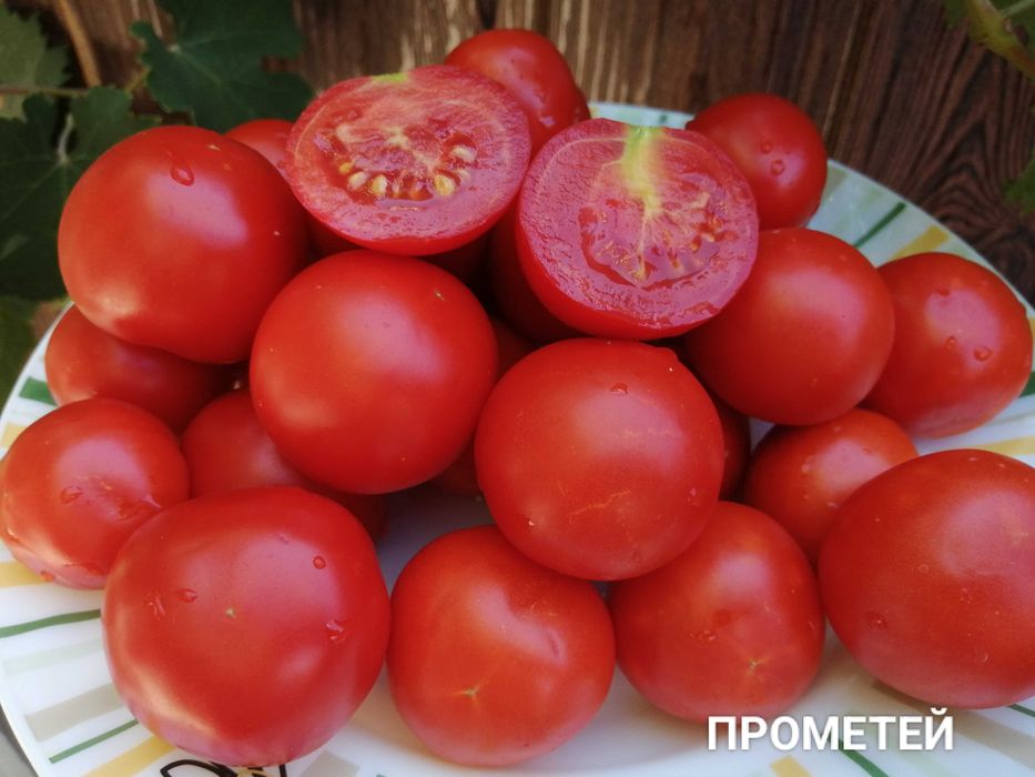 Помідори. Набір помідор.насіння помідор,домашние семена,семена помидор