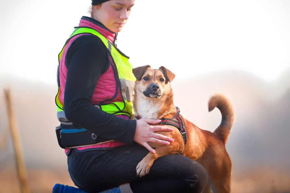 MIA młoda przyjacielska sunia