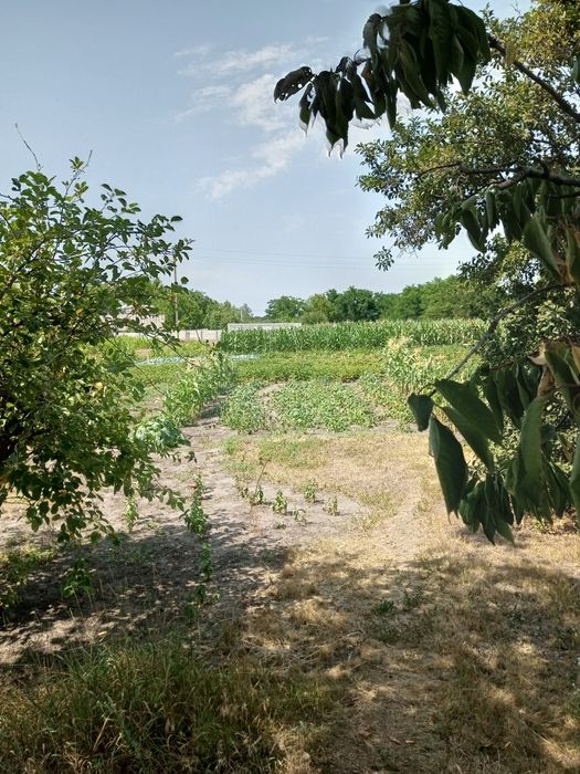 Будинок в селі Ковалівка