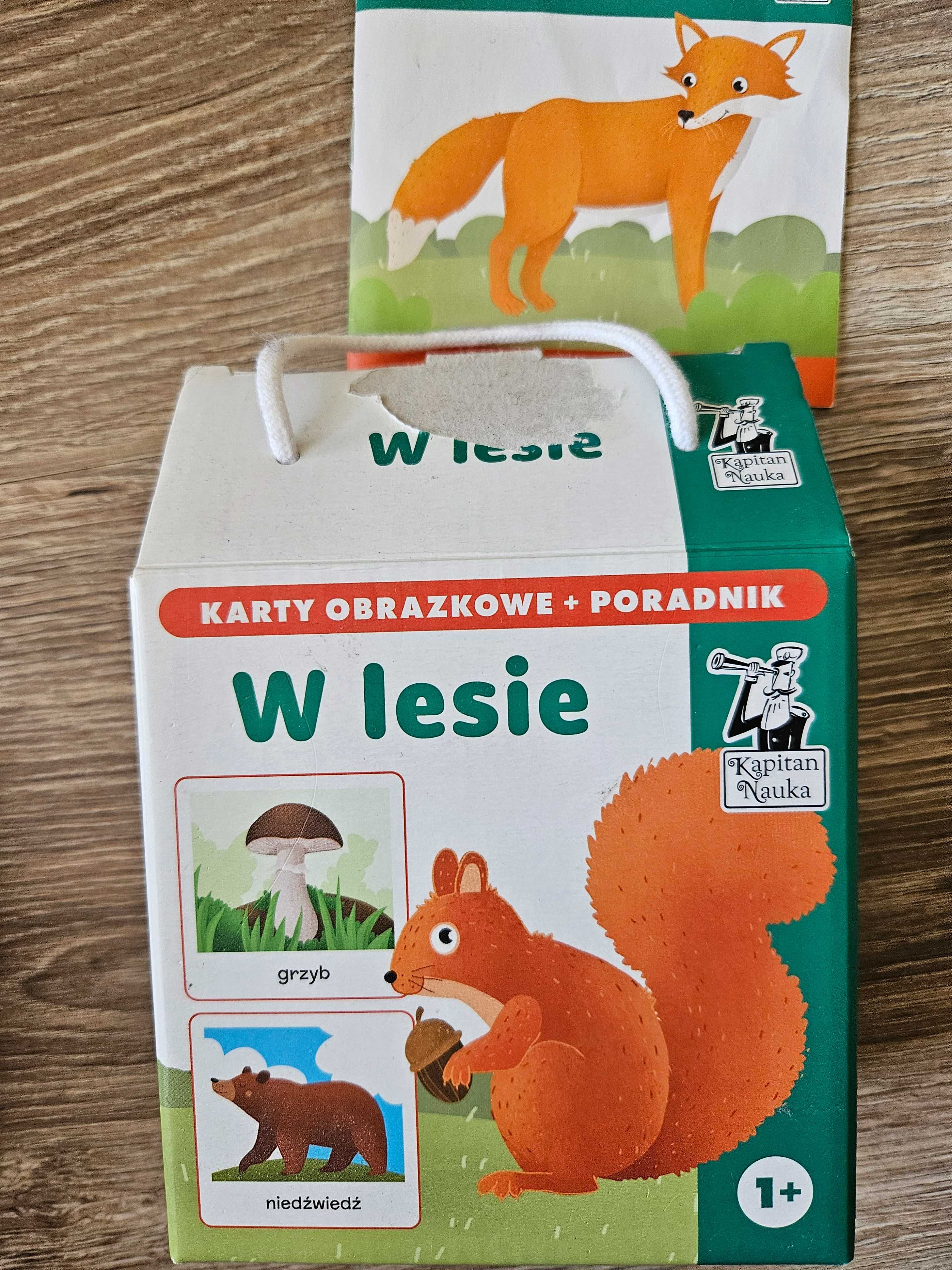 Karty obrazkowe w lesie + poradnik, 1+