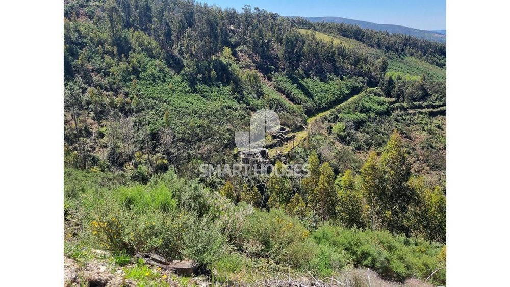 Terreno em Demieiro c/ ruínas