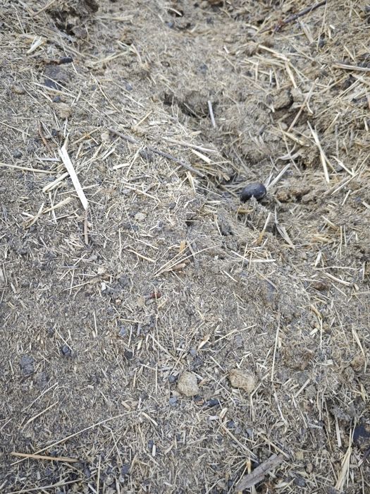 Навоз конский в мешках