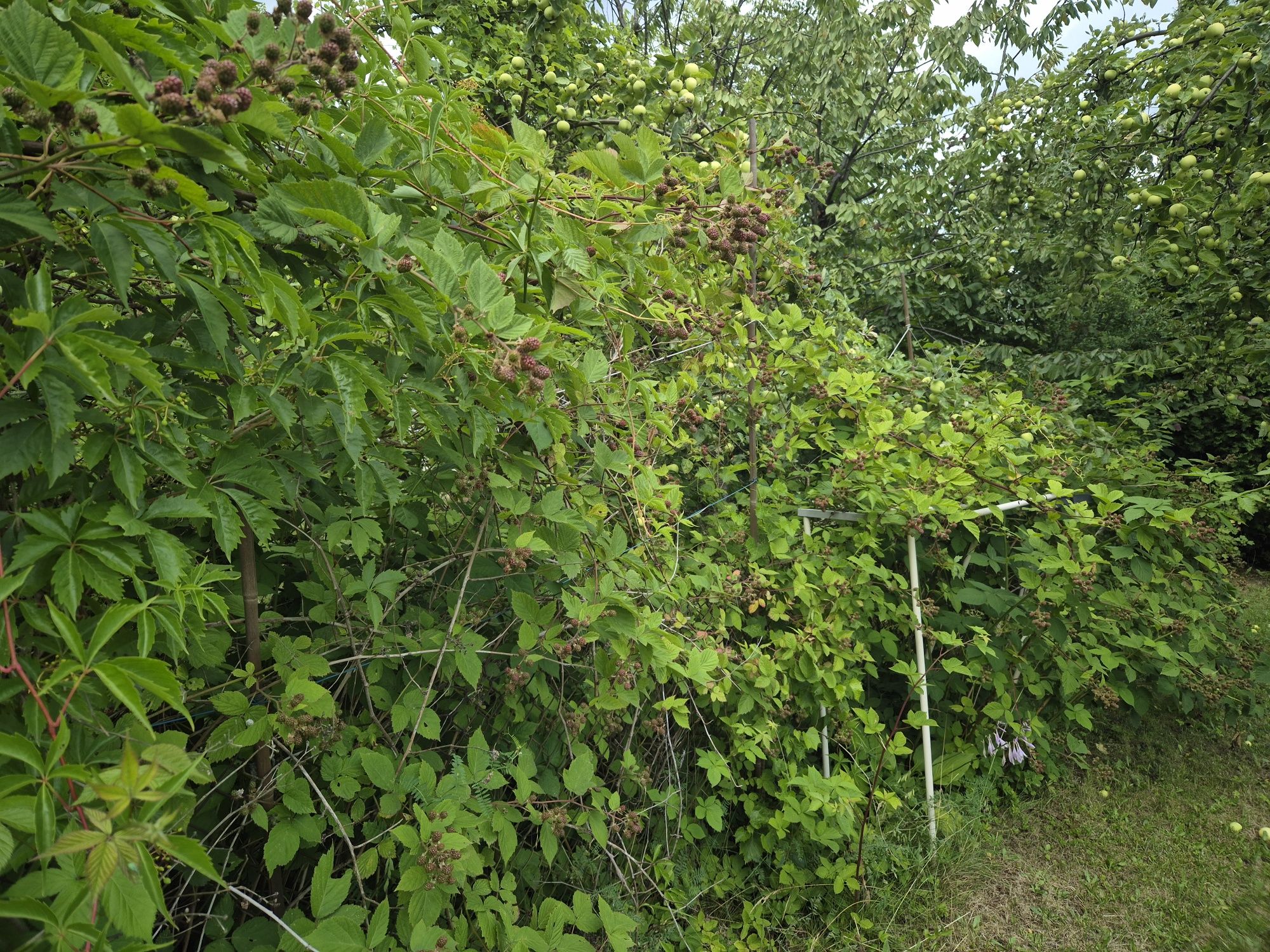 Działka środula obok Auchana
