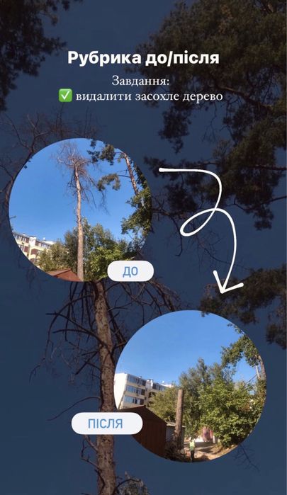 Безопасный спил, удаление, кронировка, чистка деревьев, участка, крыши