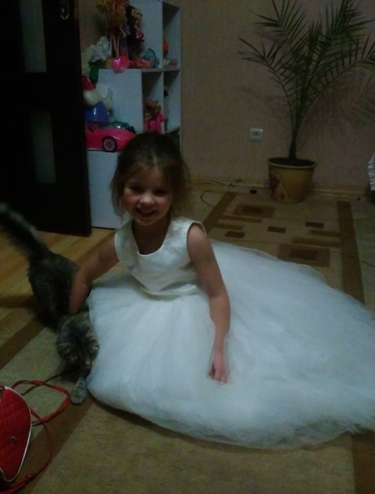 Плаття для дівчинки 5 років