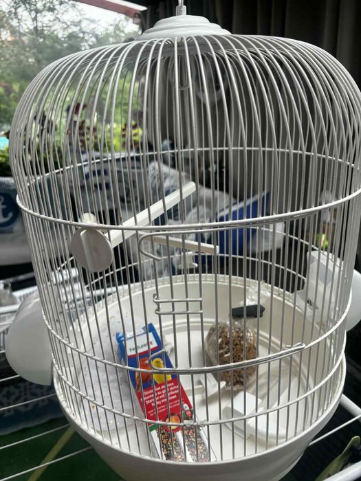 Klatka dla kanarka