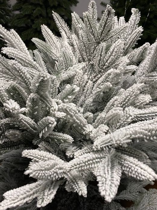 Ялинка альпійська засніжена 180см.