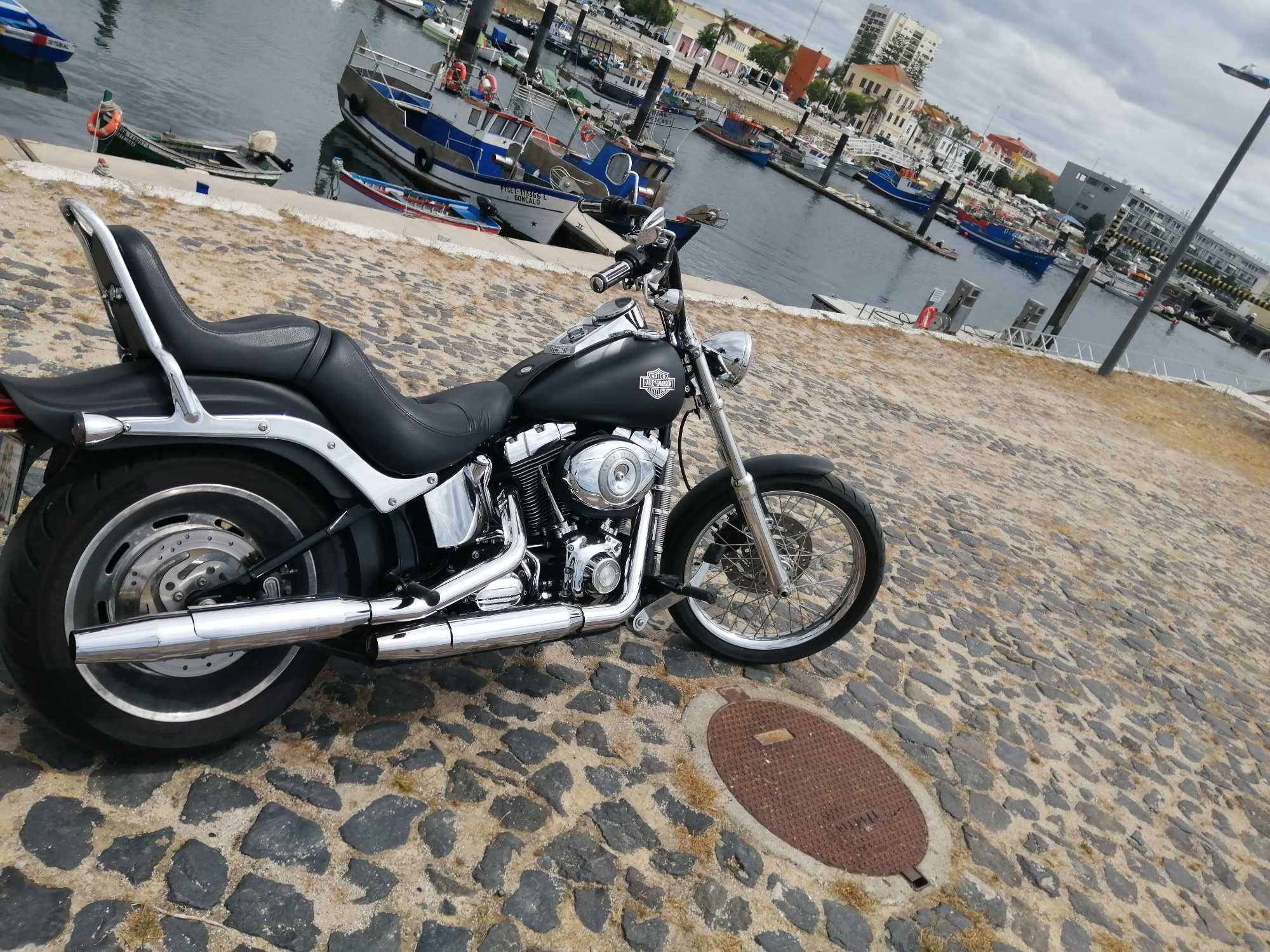 Harley davidson softail custom