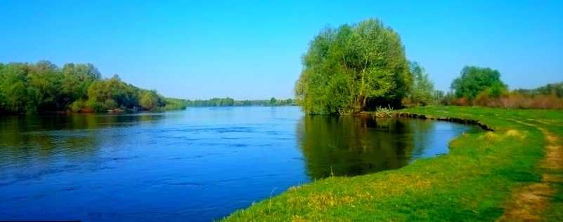 TO Земельна ділянка на березі ріки Десна