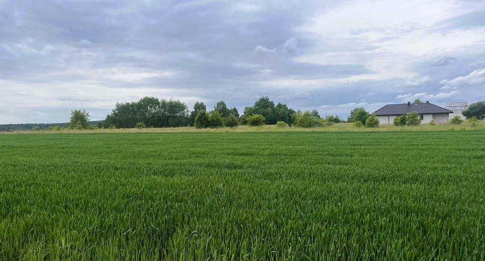 Działka budowlana 800 m² – Suków Babie – bez pośredników!