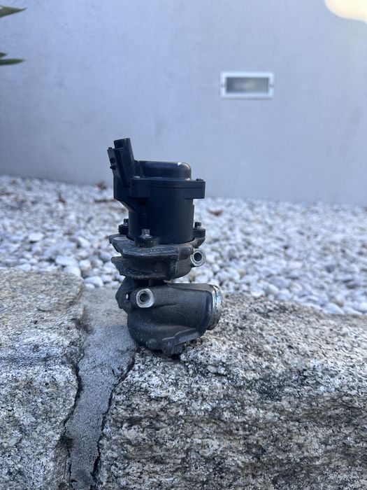 Válvula EGR Ford Focus