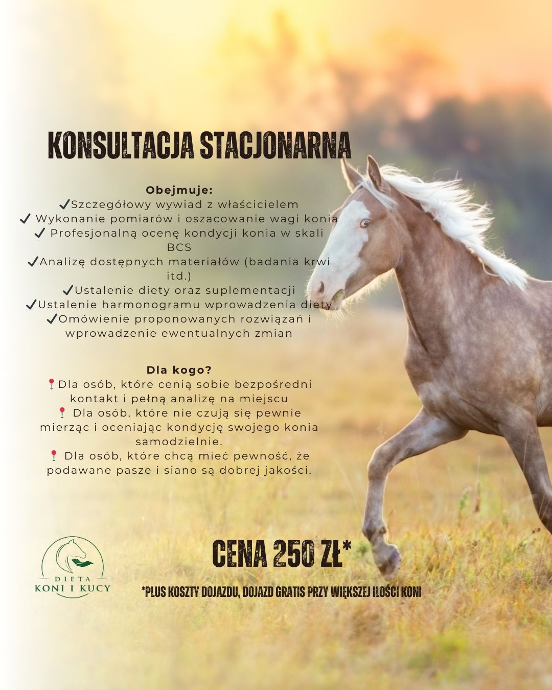 Doradztwo żywieniowe dla koni