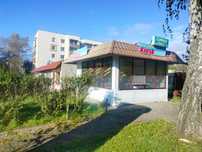Lokal do wynajęcia