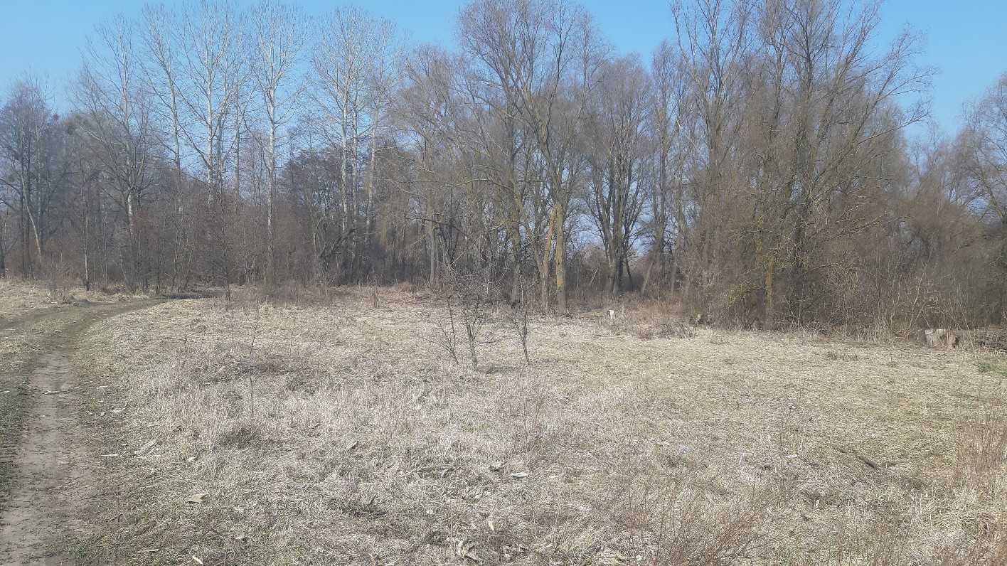 Земельні ділянки заг. пл. 12,0000 га за межами с. Вороньків