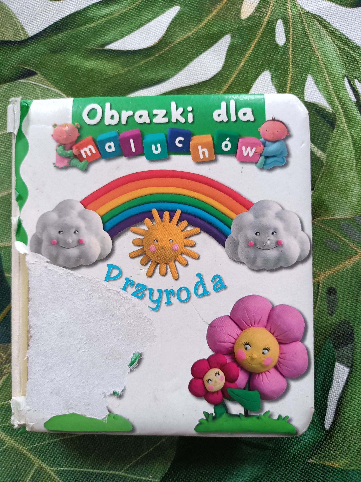 Obrazki dla maluchów książeczka Przyroda