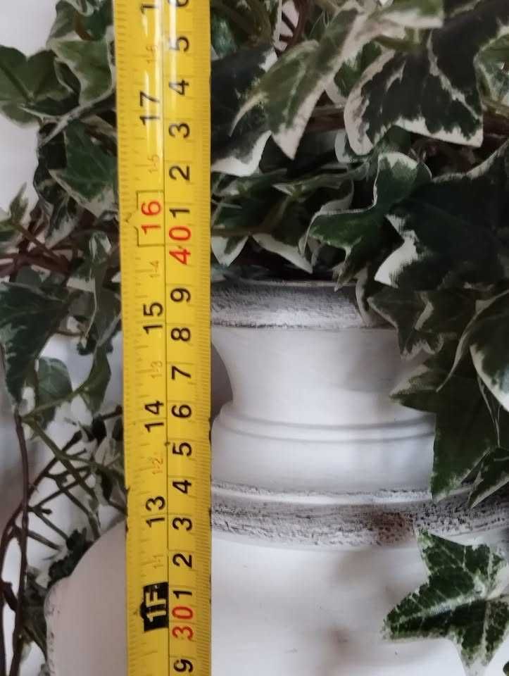 Conjunto Decoração em Branco
