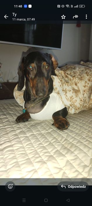 Narzuta na łóżko gruba 2,85 na 2,75 bardzo duża niemiecka qualitet