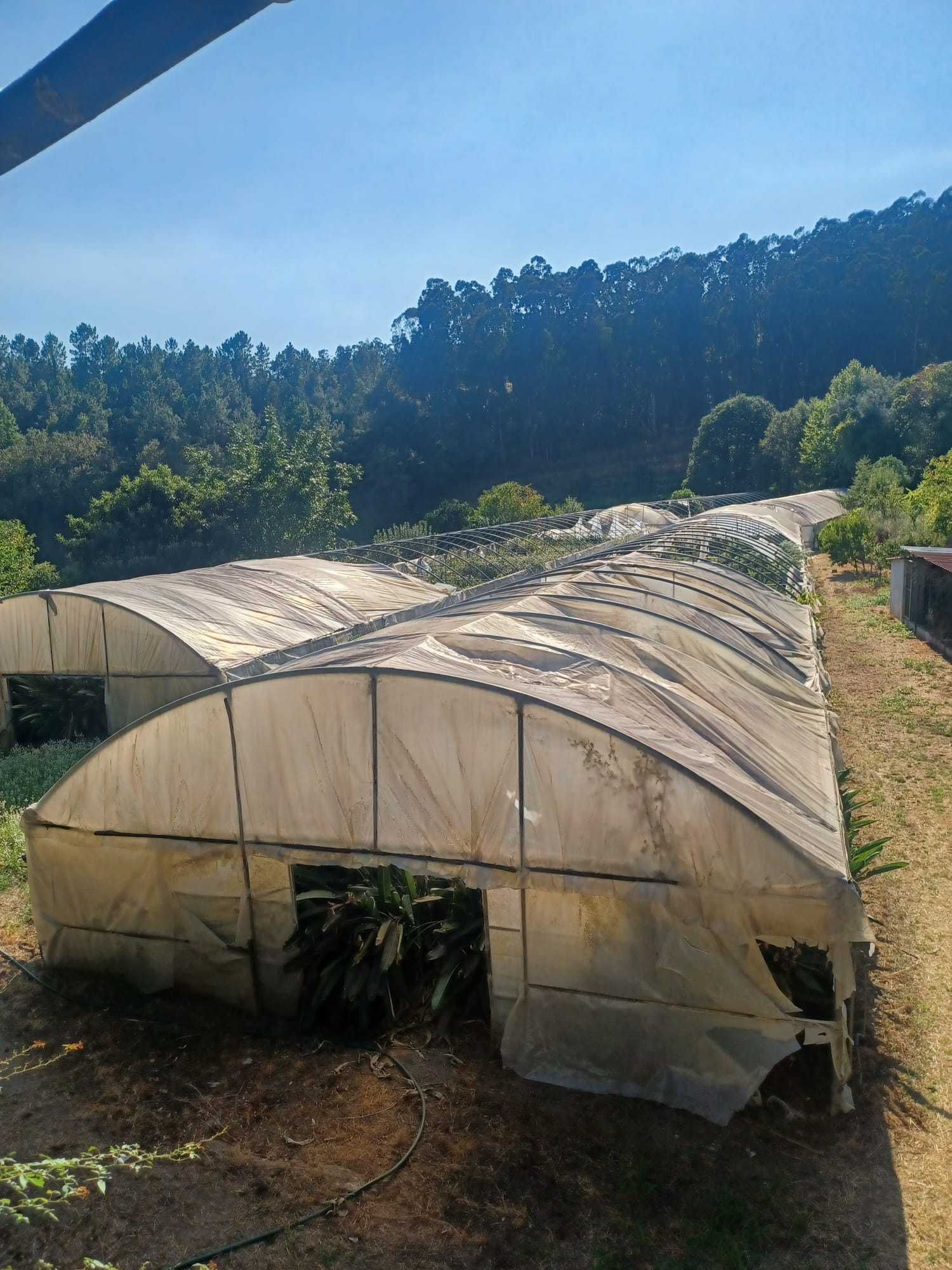 Vendo 3 estruturas de Estufas em Galvanizado