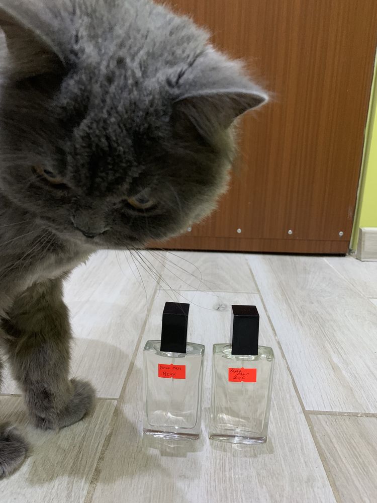 Perfumy damskie 50 ml - nowa dostawa
