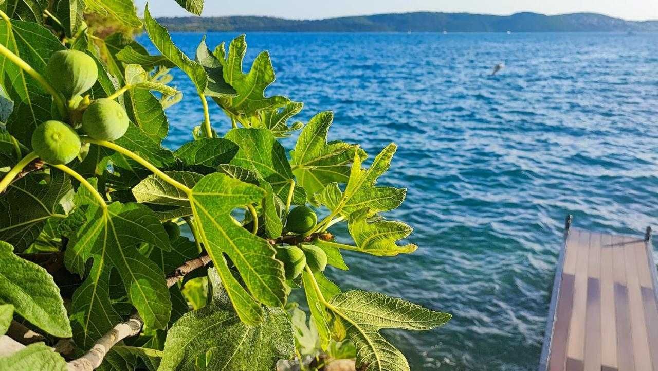 Basen, Prywatna plaża, 7min do Trogiru - Villa Penava - Chorwacja