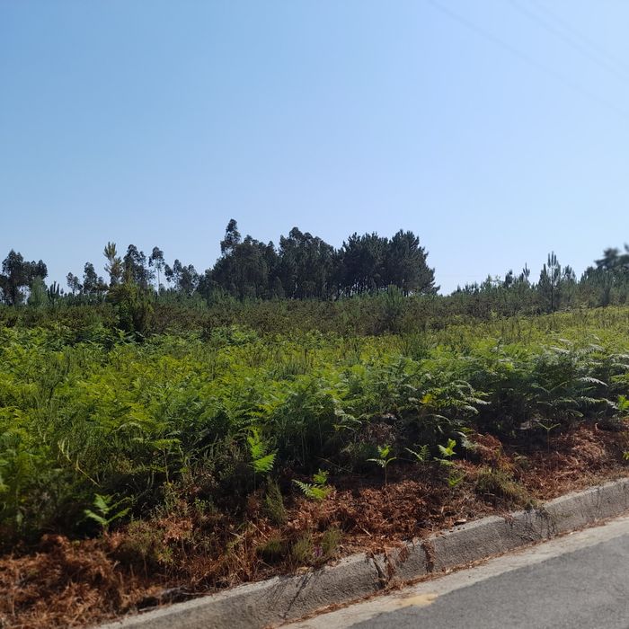 Vende-se um terreno.