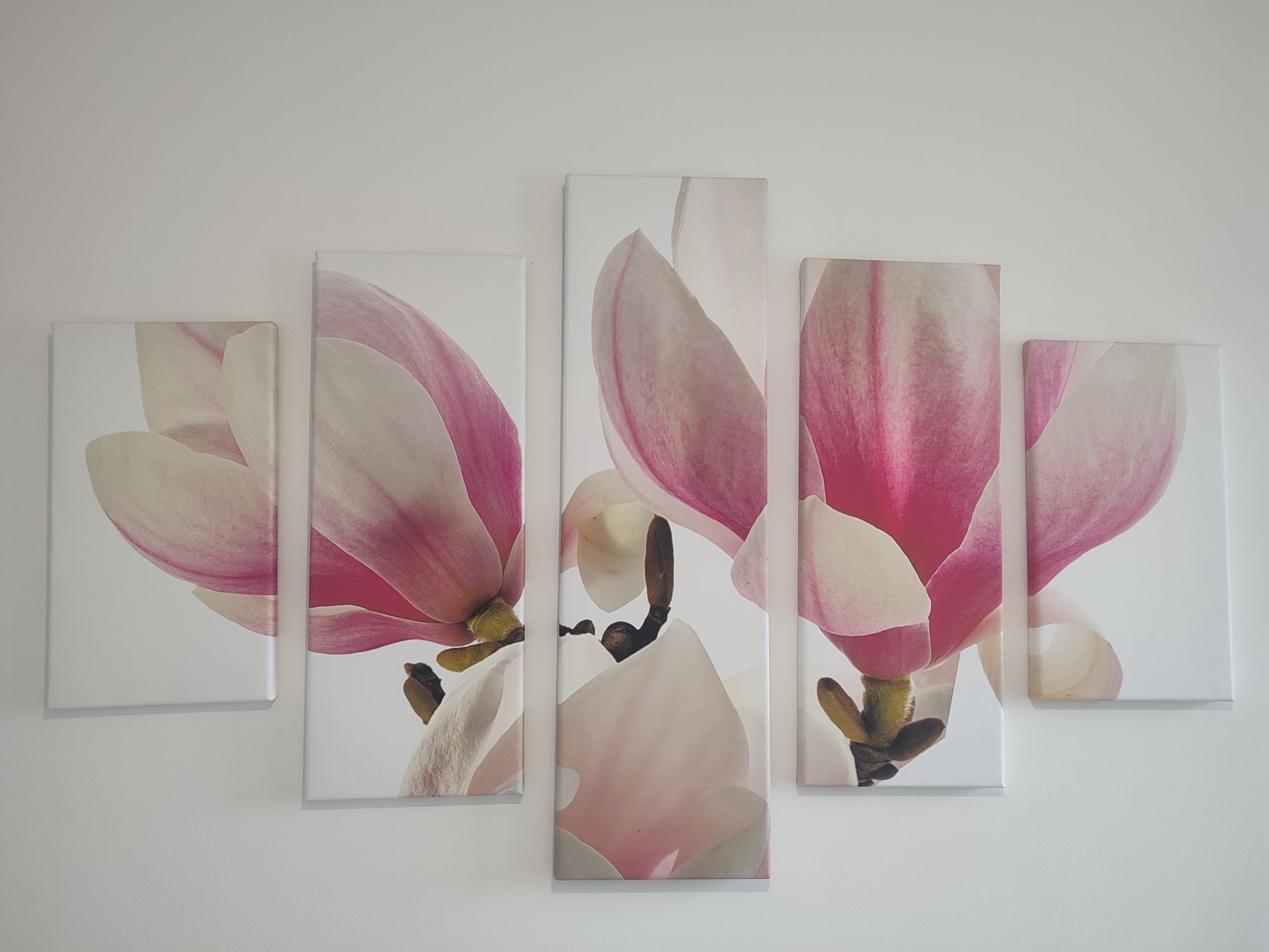Pentaptyk-Obraz Magnolie 5 szt