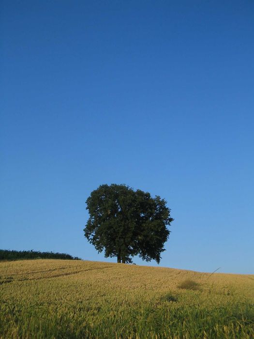 Canon Power Shot A310 Aparat cyfrowy Zestaw retro Y2K