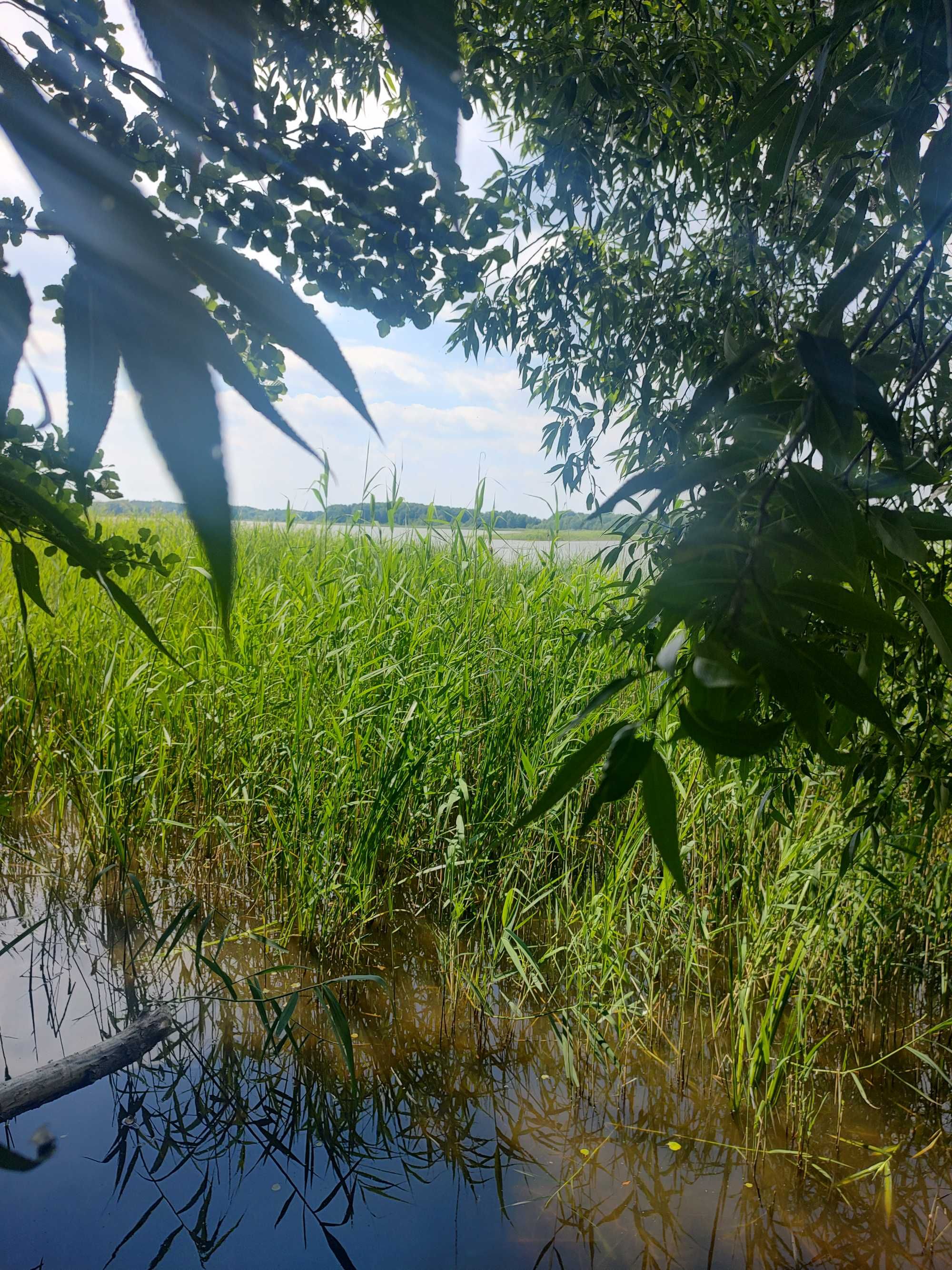 Działka nad jeziorem Jeziorak 30 arów