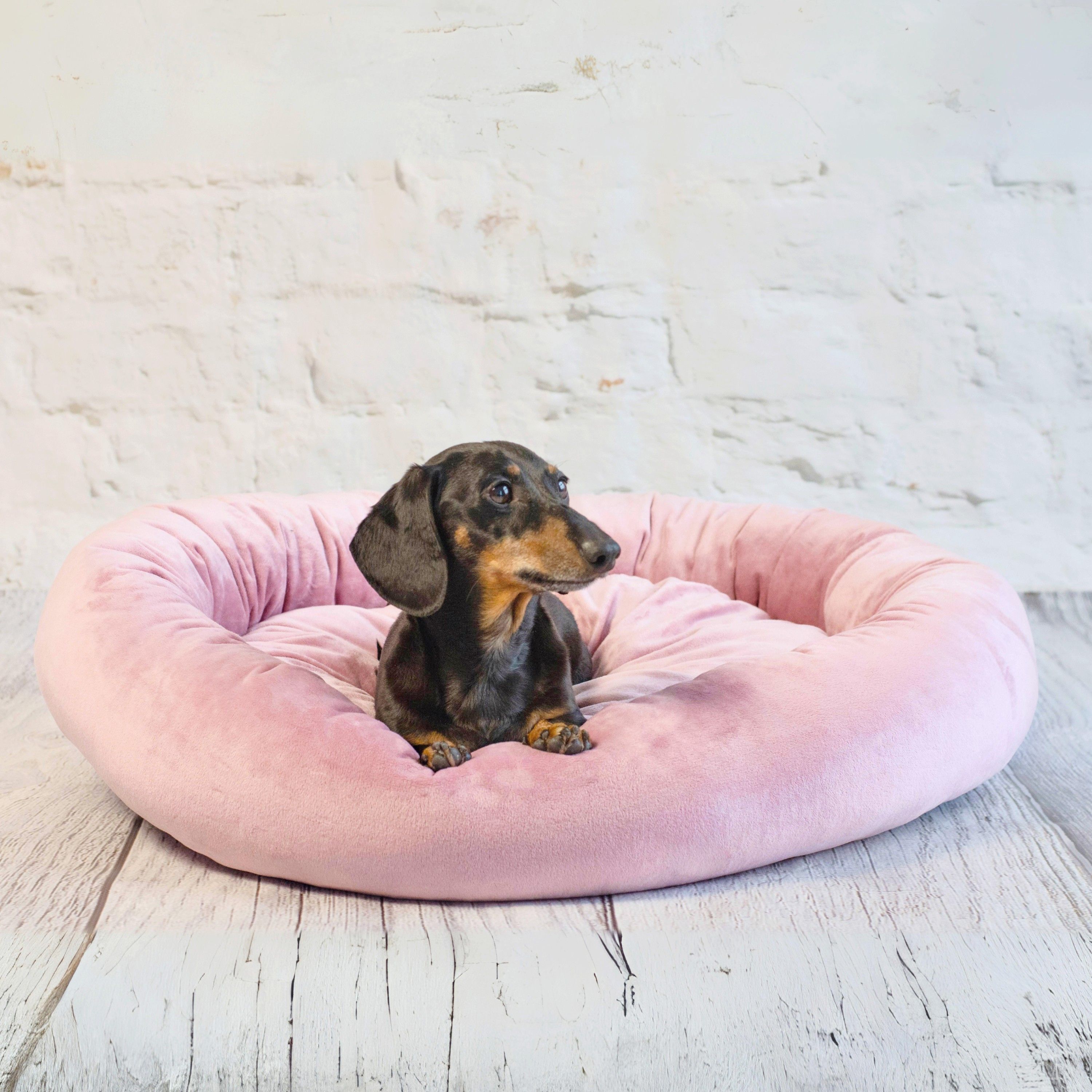 Przytulne legowisko pluszowe dla psa lub kota BUZZY (60x55 cm, Róż)