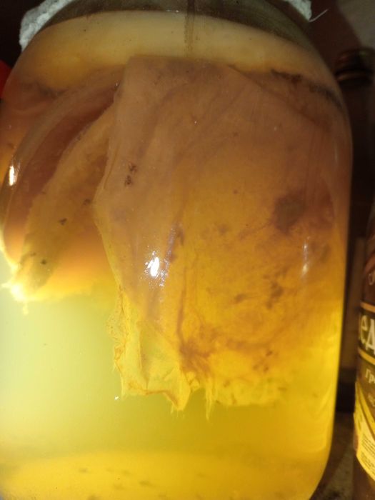 Уксусная матка из яблочного уксуса.