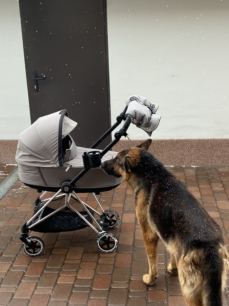 Люлька Cybex mios soho gray